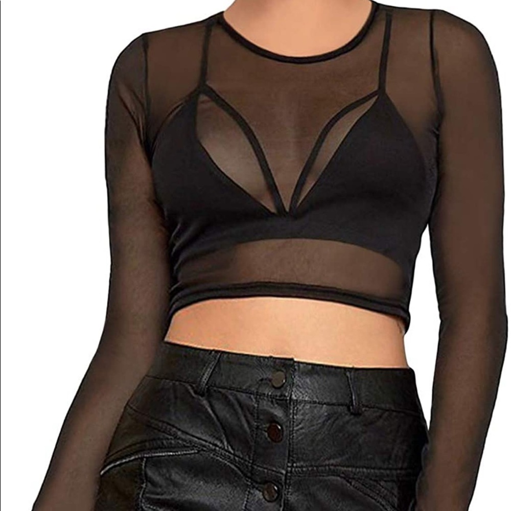Sheer Crop Top